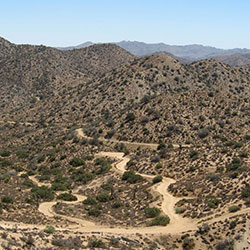 Landscape